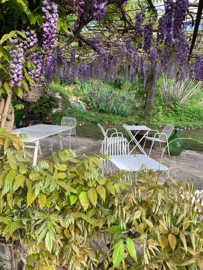 Bed and Breakfast R&B Mulino Marsa CastellʼArquato Exterior foto